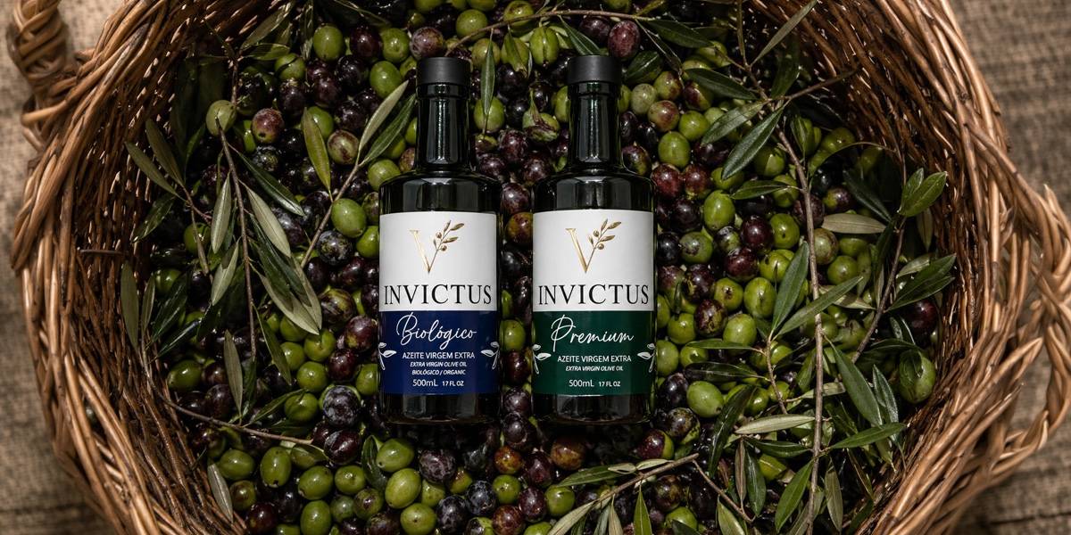 Azeite Extra Virgem Invictus - Qualidade Premium Transmontana Garrafas de Azeite Invictus Biológico e Premium em cesto de azeitonas de Trás-os-Montes