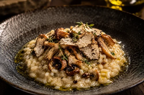 Prato de risotto de cogumelos silvestres com lascas de queijo e trufa, finalizado com um círculo de Azeite Invictus Premium dourado, realçando a textura cremosa.